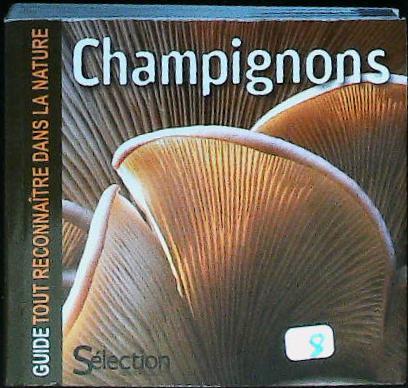 Image du produit IMG_0001.jpg de l'association Lire et Créer, livres pas cher et de seconde main