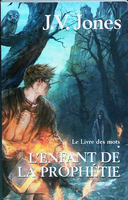 LE LIVRE DES MOTS T1:L'enfant de la prophétie : livres pas cher d'occasion, de seconde main de l'association Lire et Créer