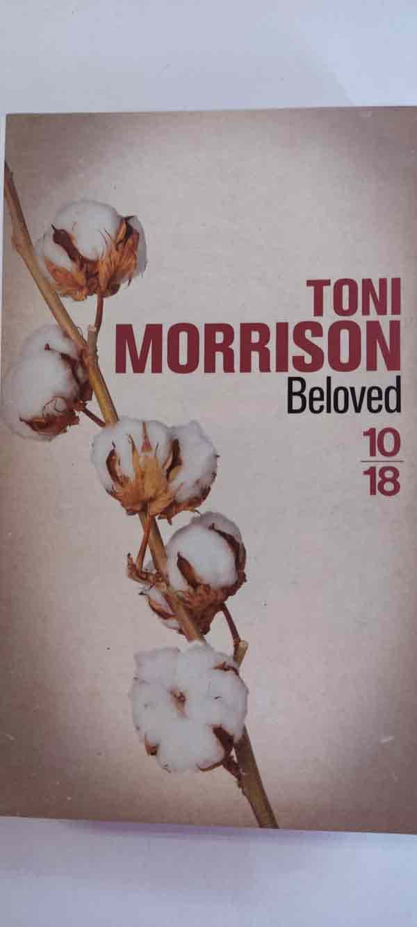 Beloved : livres pas cher d'occasion, de seconde main de l'association Lire et Créer
