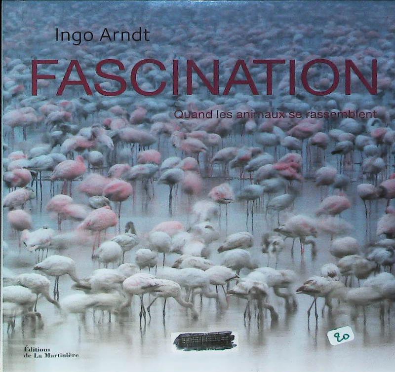 Image du produit IMG_0032.jpg de l'association Lire et Créer, livres pas cher et de seconde main
