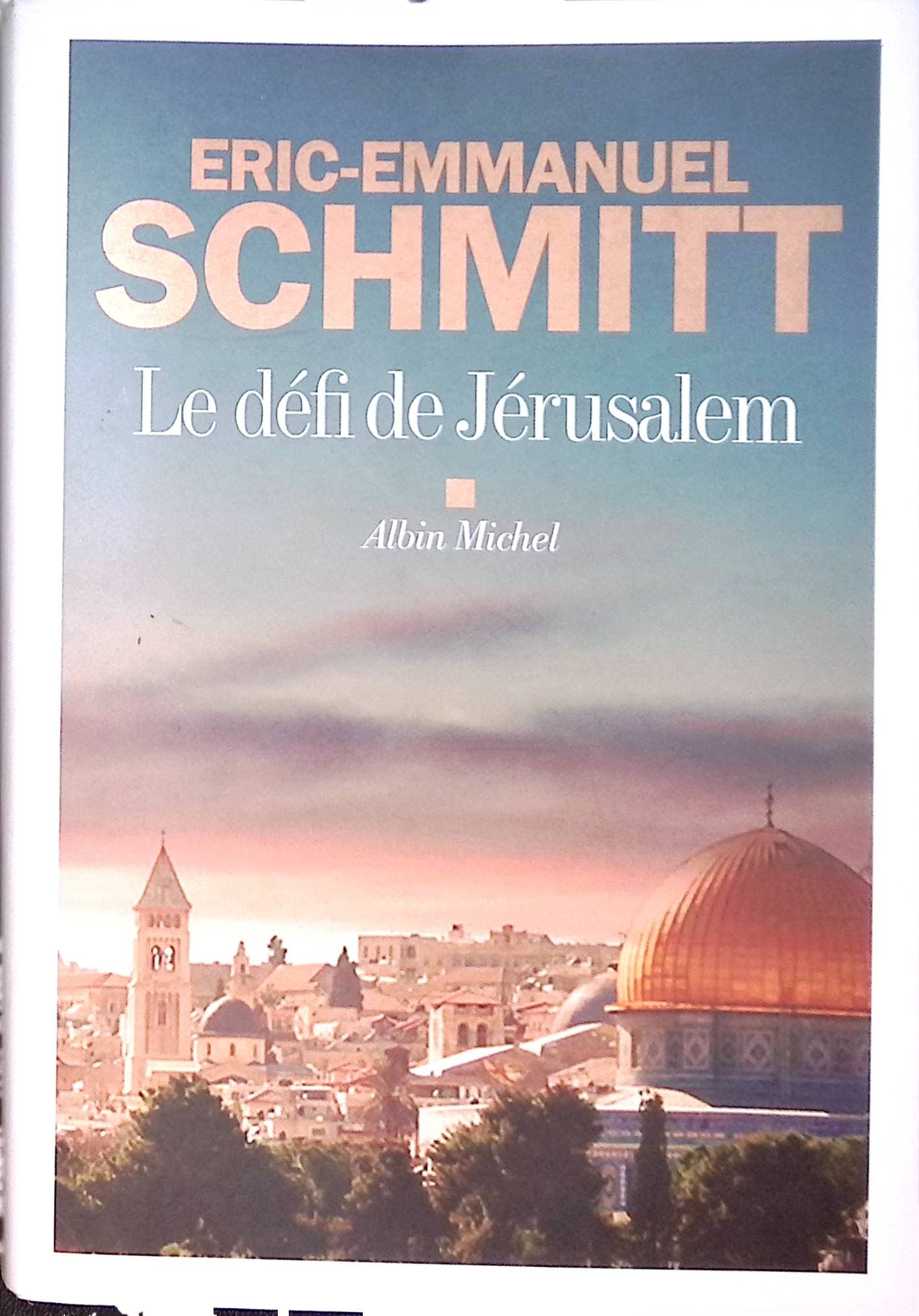 Image du produit IMG_2025_10_18_09_17_45S.jpg de l'association Lire et Créer, livres pas cher et de seconde main