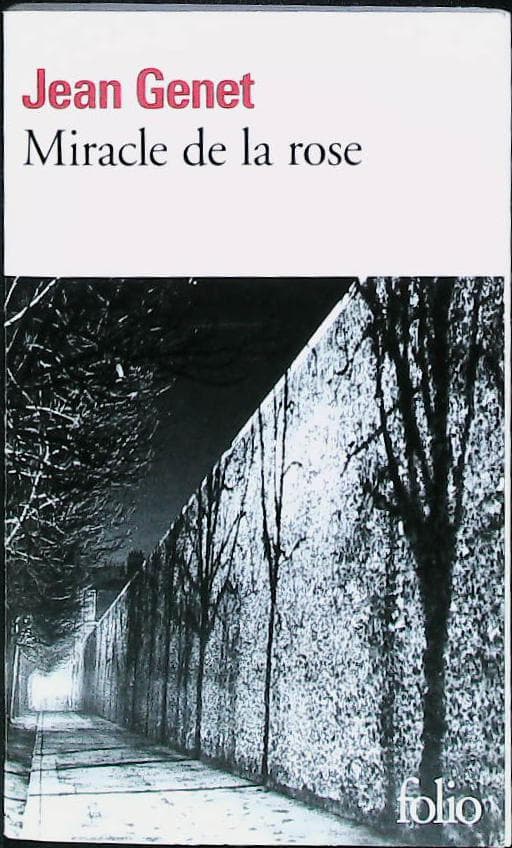 Miracle de la rose : livres pas cher d'occasion, de seconde main de l'association Lire et Créer