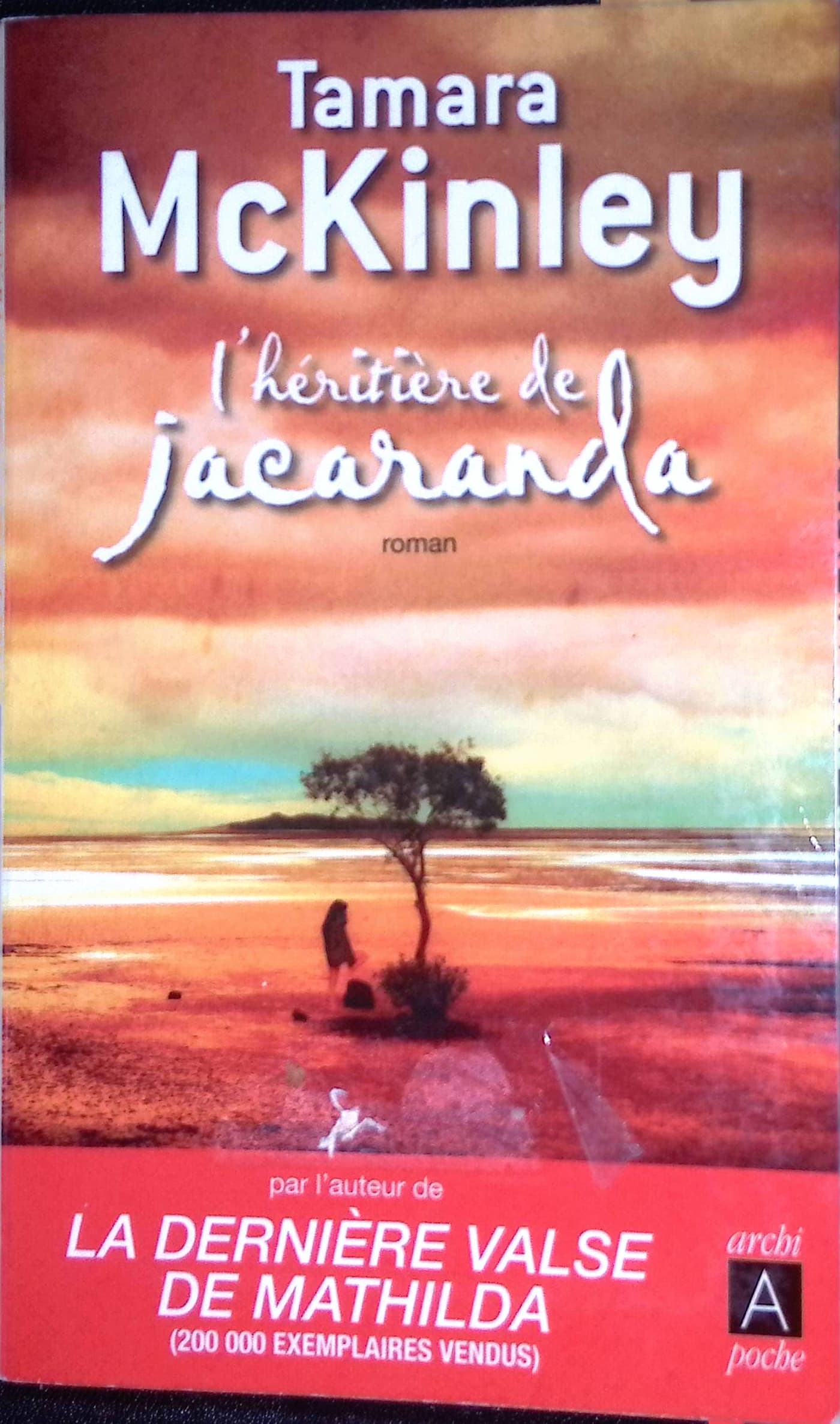 Image du produit IMG_2025_10_11_08_55_39S.jpg de l'association Lire et Créer, livres pas cher et de seconde main