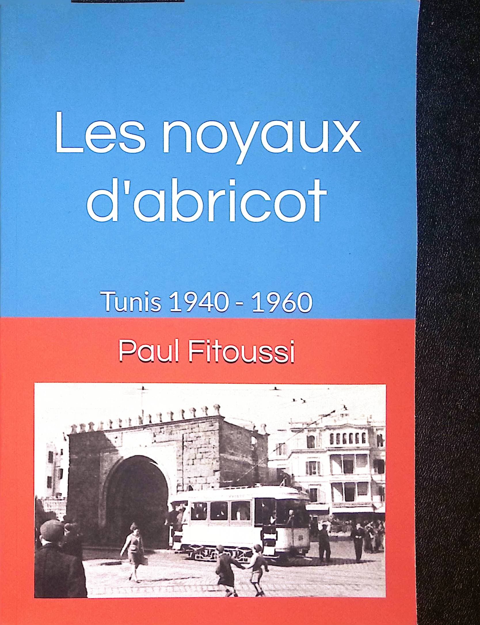 Les noyaux d'abricot: tunis 1940 - 1960 : livres pas cher d'occasion, de seconde main de l'association Lire et Créer