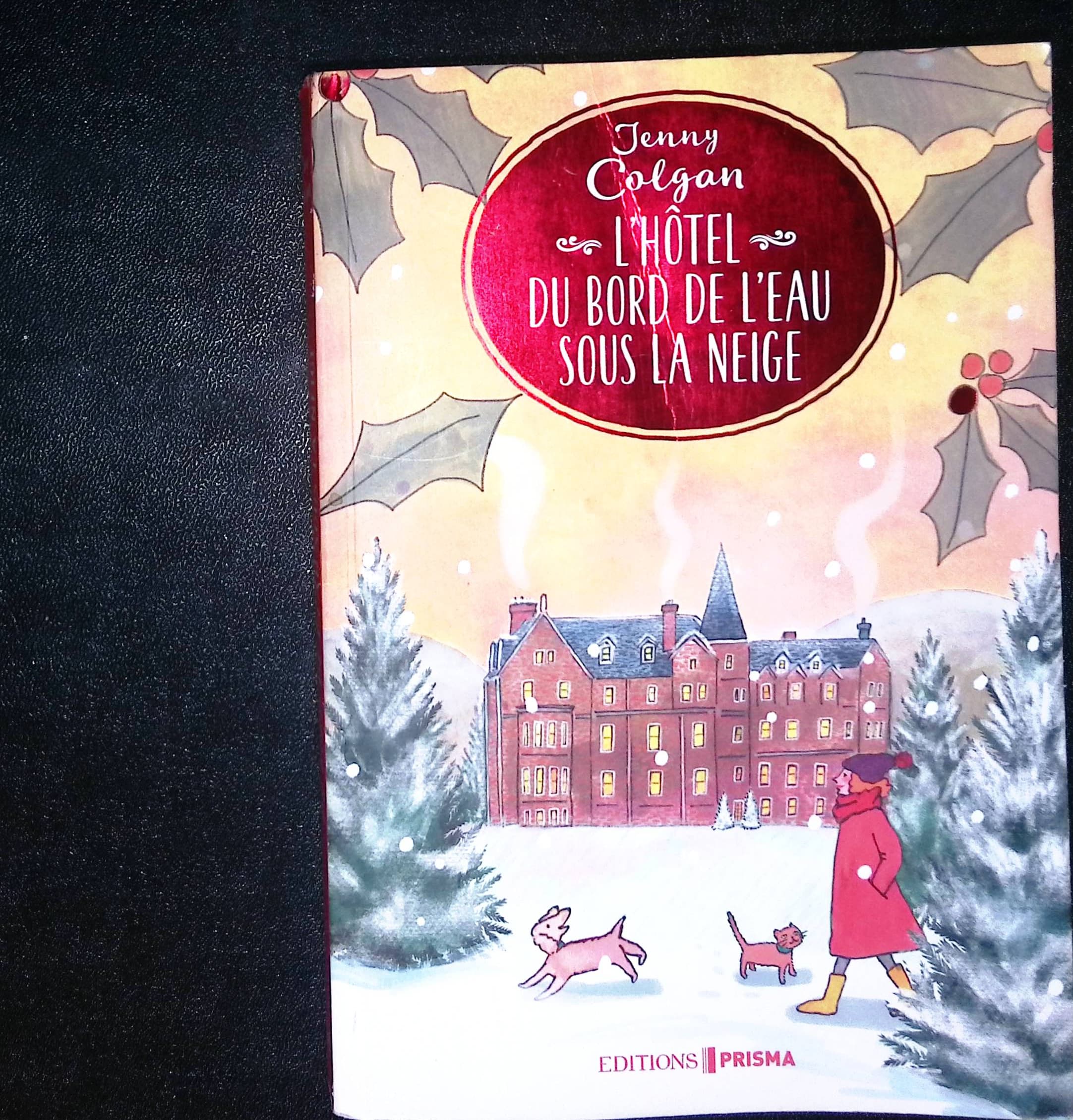 Image du produit IMG_2025_11_01_19_33_18S.jpg de l'association Lire et Créer, livres pas cher et de seconde main