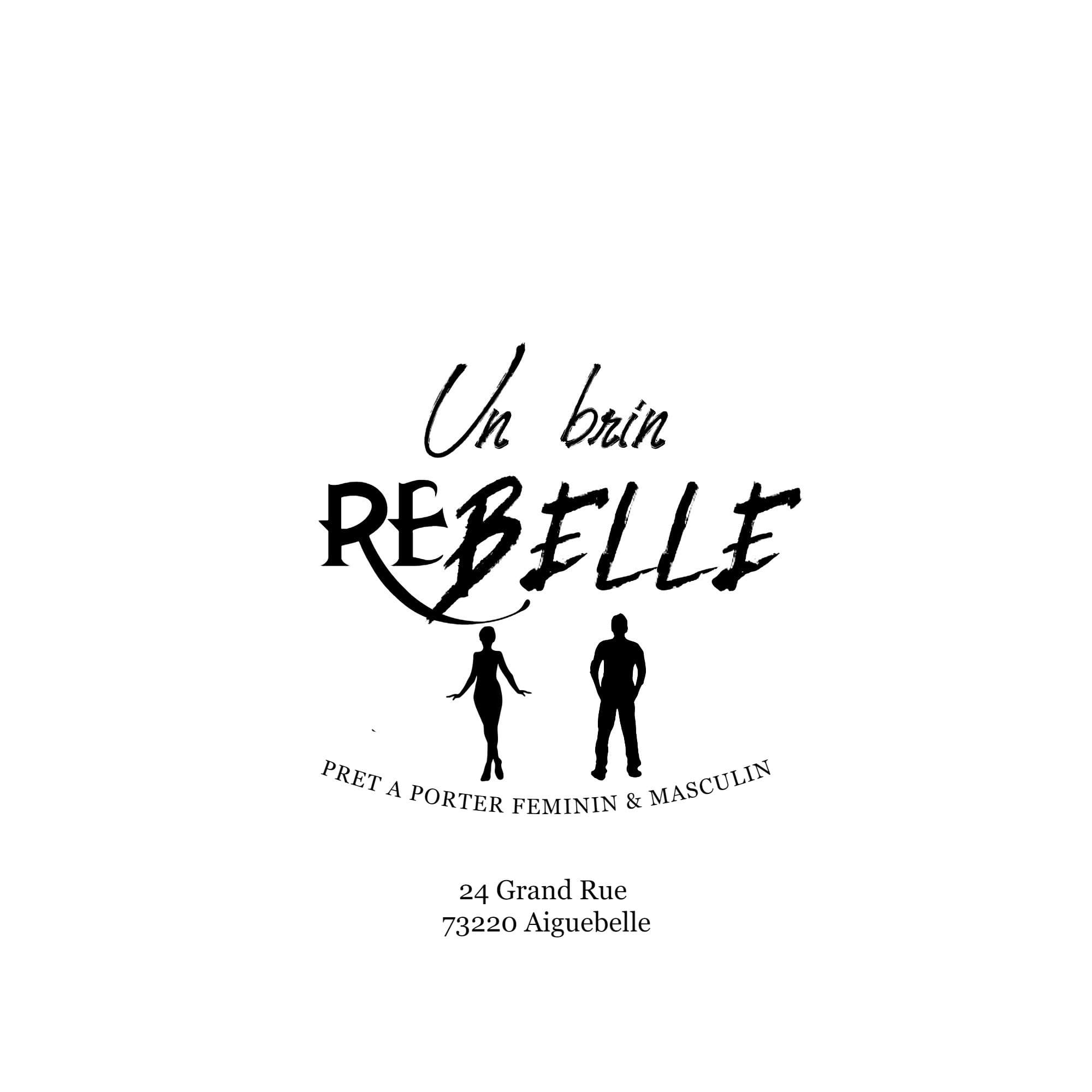 logo du partenaire de Lire et créer vente de livre d'occasion : SAS UN BRIN REBELLE